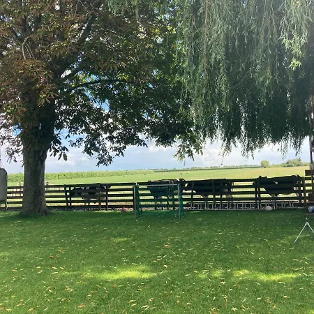 Tatil Evi Het Uilennest