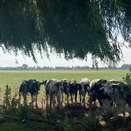 Het Uilennest Nyaraló