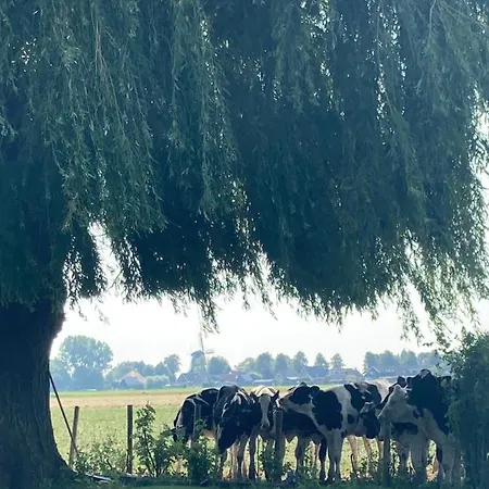 Het Uilennest Tatil Evi *