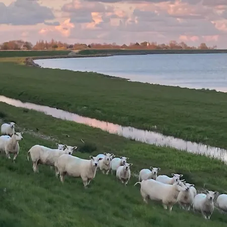 Het Uilennest Tatil Evi Wijdenes