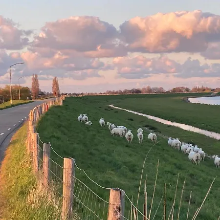Feriehus Het Uilennest *