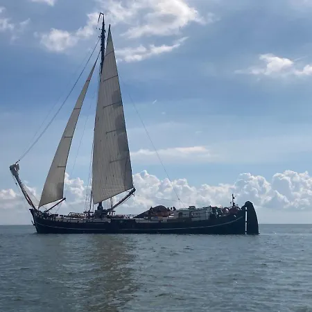 Het Uilennest * Wijdenes