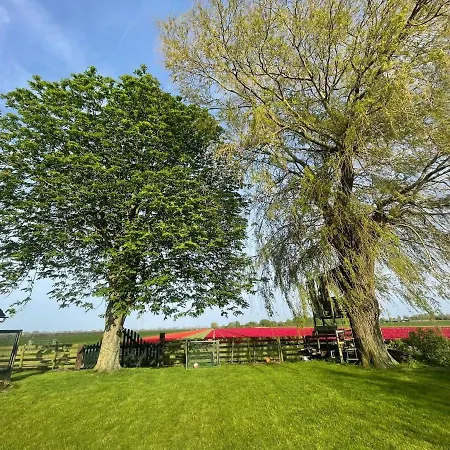 Het Uilennest Holiday home Wijdenes