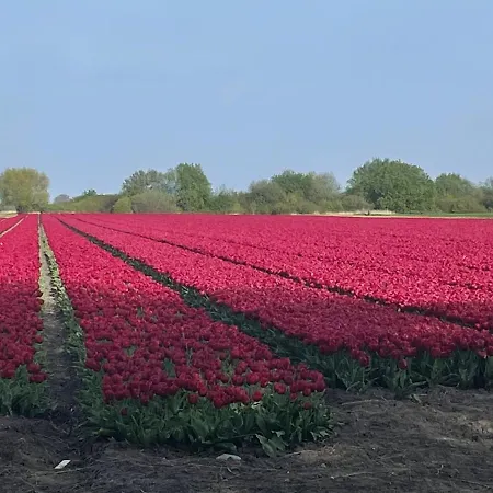 Het Uilennest Feriehus