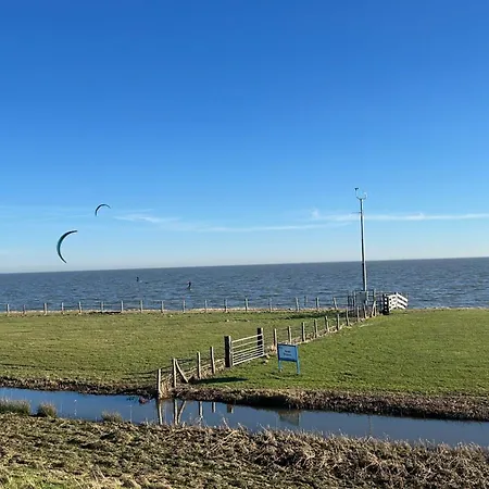 Tatil Evi Het Uilennest
