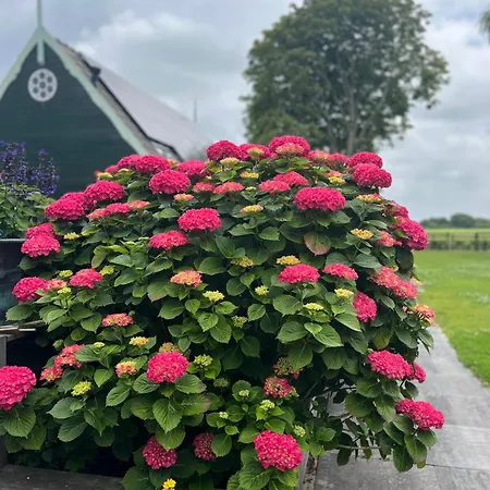 Het Uilennest Feriehus *