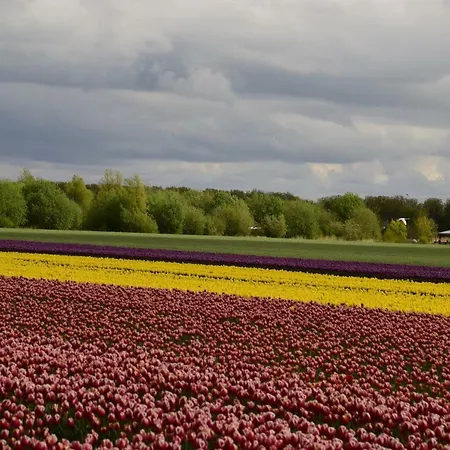 Het Uilennest Feriehus Wijdenes