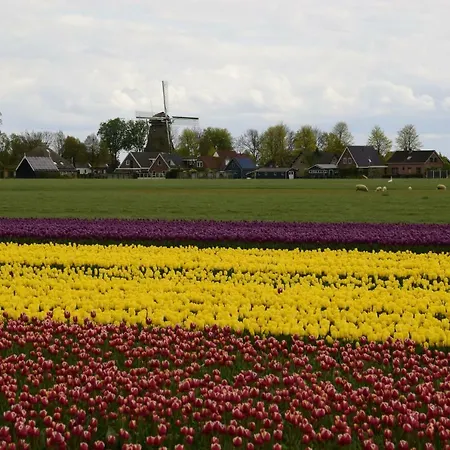 Het Uilennest * Wijdenes