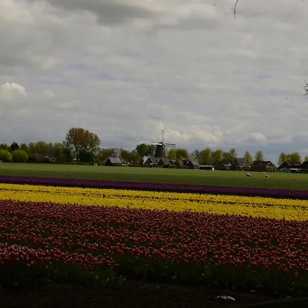 Feriehus Het Uilennest Wijdenes