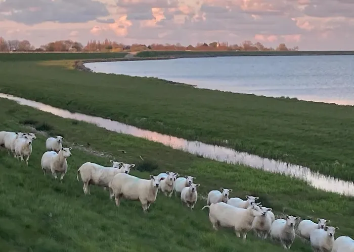 Het Uilennest בית נופש Wijdenes