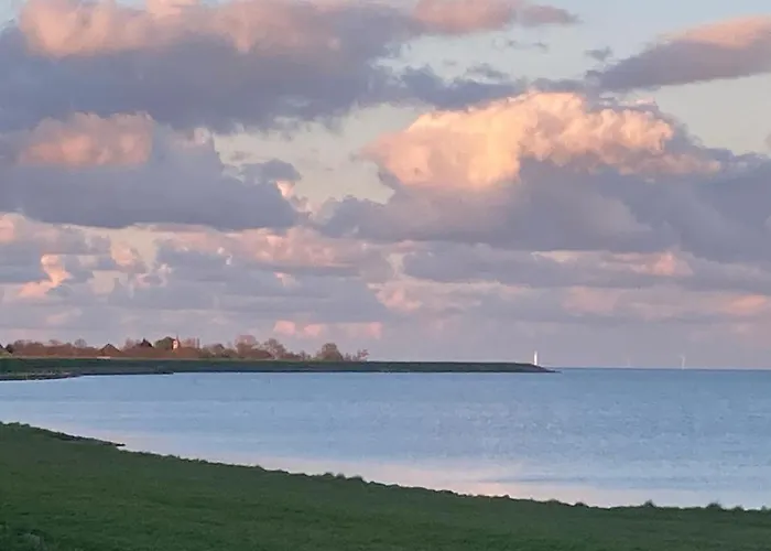 Het Uilennest * Wijdenes