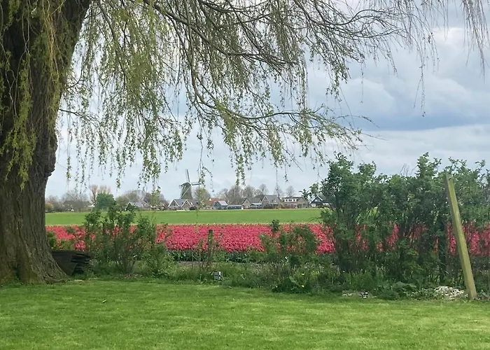 Het Uilennest בית נופש *