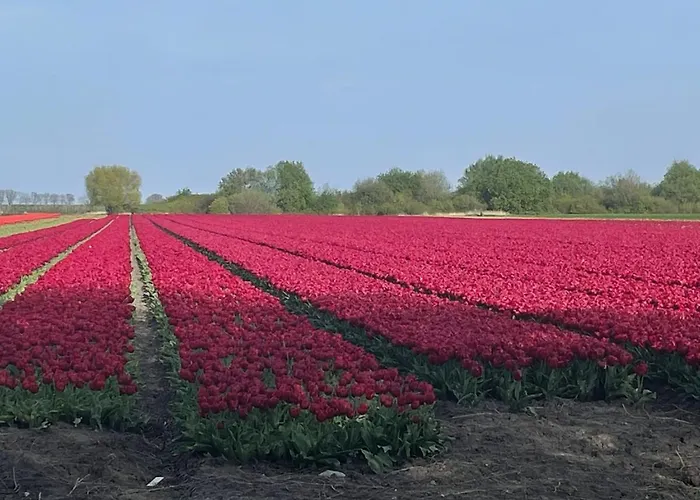 Het Uilennest בית נופש