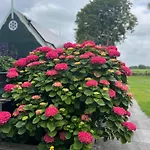 Het Uilennest Holiday home *