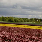 Het Uilennest Holiday home Wijdenes