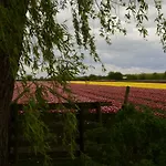 Holiday home Het Uilennest *
