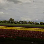 Holiday home Het Uilennest Wijdenes
